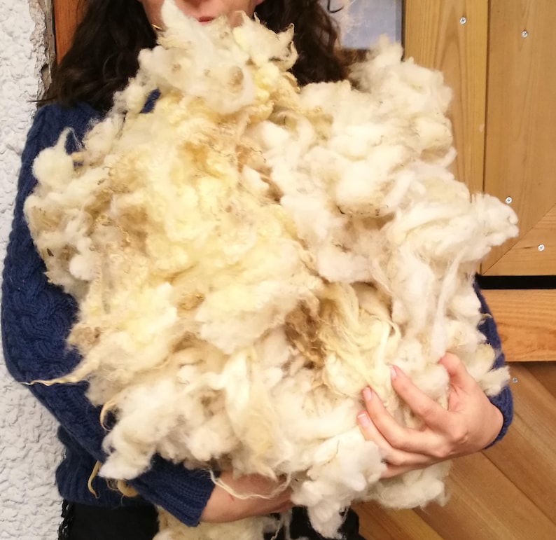 May include: A large amount of white and cream colored sheep wool being held by a person. The wool is fluffy and soft.