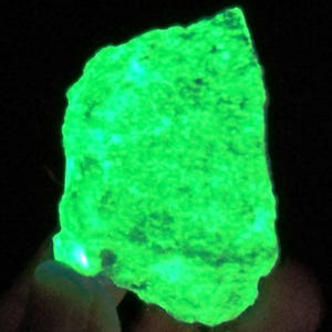 May include: A glowing, irregularly shaped rock fragment, radiating a vibrant neon green hue against a black background. The surface has a textured appearance with darker spots, suggesting mineral composition. The overall effect is a striking display of fluorescence.