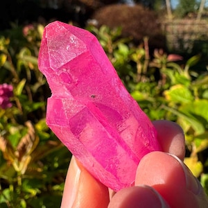 May include: A vibrant pink quartz crystal with a faceted, pointed shape. The crystal is held in a hand, with a blurred green and pink background of foliage. The crystal's color is a bright, saturated pink.