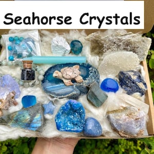 May include: A box filled with various blue and white crystals, including a seahorse, a turtle, and a small bottle. The box is labeled "Seahorse Crystals".