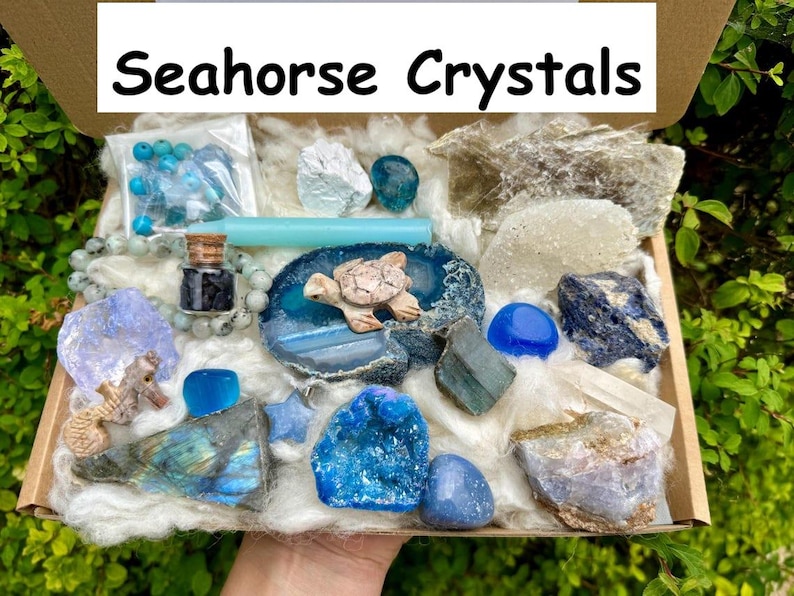 May include: A box filled with various blue and white crystals, including a seahorse, a turtle, and a small bottle. The box is labeled "Seahorse Crystals".