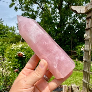 Può includere: Una grande punta di cristallo di quarzo rosa lucido. Il cristallo è di colore rosa tenue e ha una forma sfaccettata con una parte superiore appuntita. Lo sfondo comprende fogliame verde e una struttura in legno.