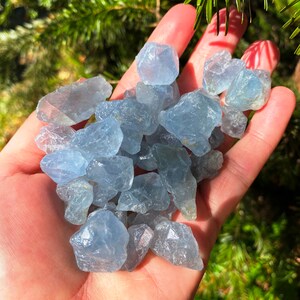 5 x Celestite chips Celestial crystals celestite stones, sky blue celestite by elf kendal hippies, blue crystal chips celestine gem by elf