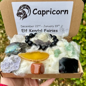 Capricorn crystal set, Zodiac gemstone box, Crystal star sign pack, Capricorn birthstone treat, Spiritual healing kit Rough crystsals bundle