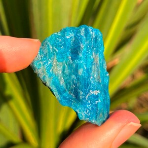 raw turquoise apatite, elf kendal hippies, rare bright blue positivity stone, turquoise crystals uk, turquoise apatite stone shipped fast uk image 4