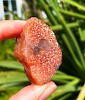 Large sunstone uk elfkendalhippies, rough raw sunstone, rough sun stone pendant, crystal for wire wrap, big sunstone pendant wire wrap rocks product logo