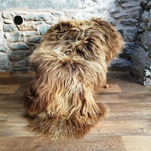 Icelandic sheepskin, golden highland cow lambskin throw, icelandic rug, large brown sheepskin, long haired sheepskin, elf kendal hippies uk