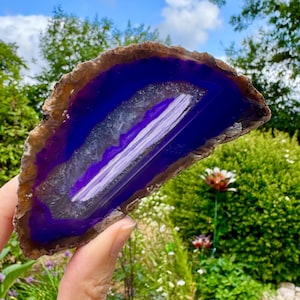 May include: A polished, vibrant blue and purple agate slice with a white center. The stone has a natural, rough brown edge. The agate is held up against a backdrop of green foliage and a blue sky.
