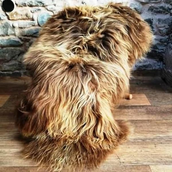 Highland cow rug icelandic sheepskin rug long haired throw Highland cow throw longwool icelandic rug Christmas sheepskins Elf kendal hippies