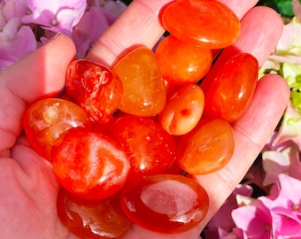Carnelian Tumble Tiny Vibrant Orange 1-2cm Gemstone mini carnelian gemstone carnelian tumbley carnelian polished stone pumpkin rocks gems uk