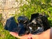 Obsidian rough uk, black crystals protector, healing crystal black natural crystal, dragon glass, dragon stone, White walker protection rock 