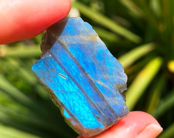 Raw Blue Labradorite Crystal: Rough Healing Stone, Hippie Decor