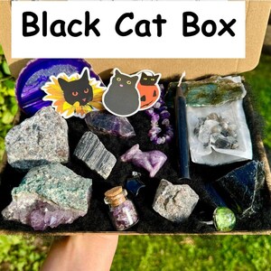 May include: A black box with the words "Black Cat Box" on the lid. The box is filled with various crystals, including amethyst, black obsidian, and green aventurine. There are also two black cat stickers and a small bottle of clear liquid.