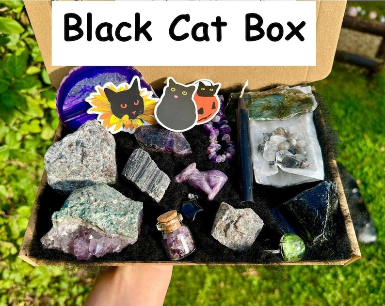 May include: A black box with the words "Black Cat Box" on the lid. The box is filled with various crystals, including amethyst, black obsidian, and green aventurine. There are also two black cat stickers and a small bottle of clear liquid.