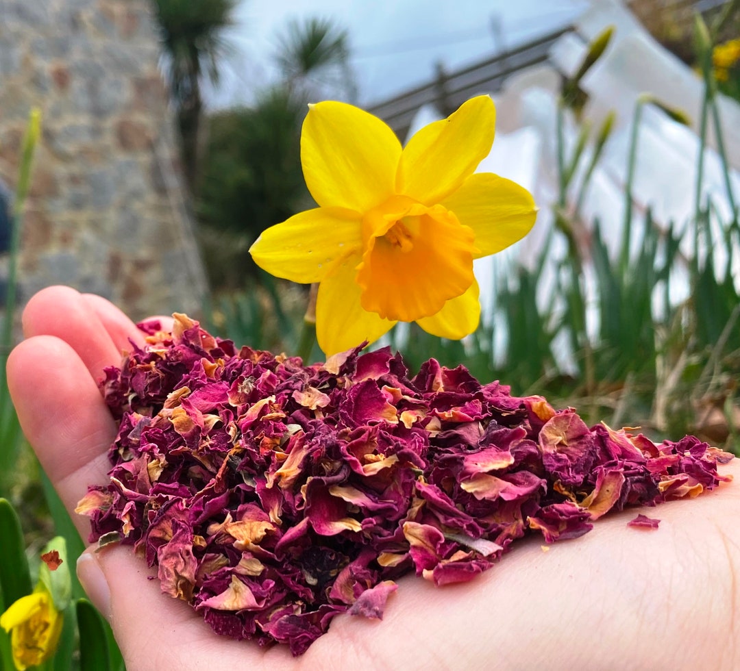 Biodegradable Rose Petals, Blue Cornflower Dried, Real Marigold Flowers, Real Dried Flowers