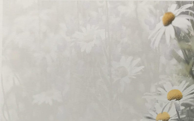 Puede incluir: Una impresi&oacute;n rectangular con un fondo suave y desvanecido de flores de margarita blancas. El lado derecho de la imagen muestra tres margaritas n&iacute;tidas y distintas con p&eacute;talos blancos y centros amarillos prominentes, contrastando con el fondo brumoso.