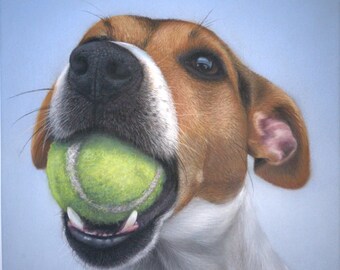 JACK RUSSELL TERRIER Pastel painting with Certierficate of Authenticity. Pastel pencils on 10" x 10" Pastel mat.