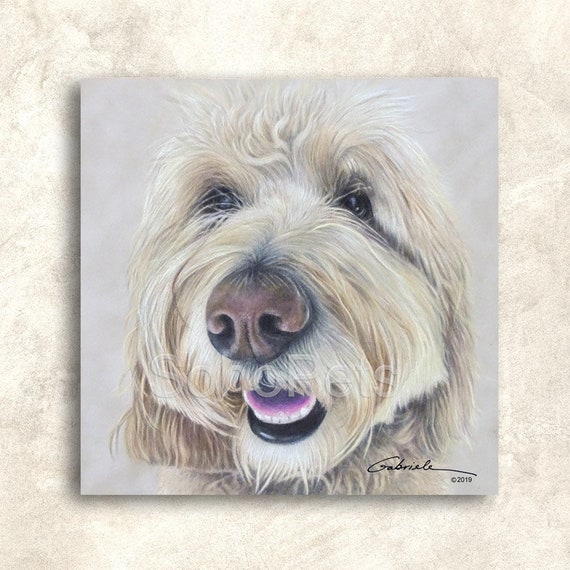 labradoodle art