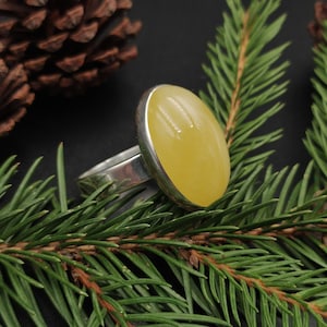 Ring Natural landscape amber with silver 925/ adjustable ring for women 18,5-20/ genuine amberstone/ classic amber ring/ amber ring