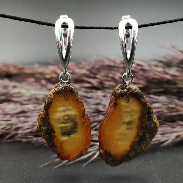 Amber earrings, slices amber, amber earrings slices, amber crust, earrings with the inclusion of plants