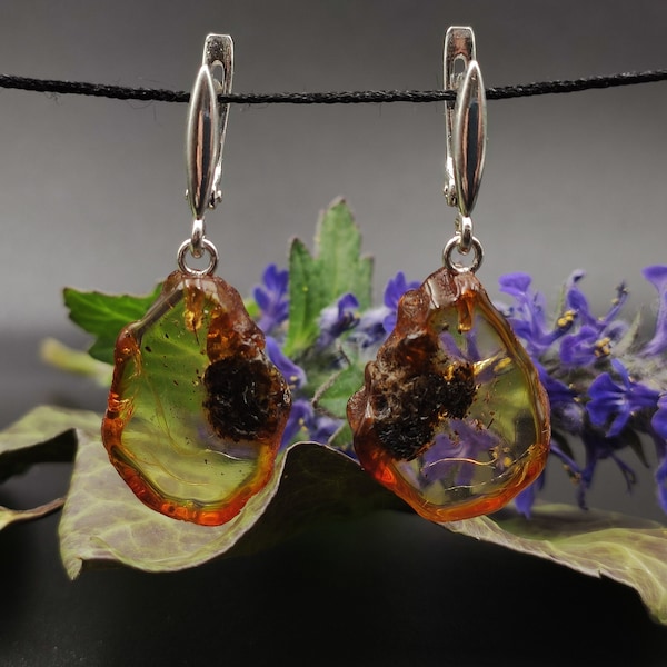 Amber earrings, slices amber, amber earrings slices, amber crust, earrings with the inclusion of plants