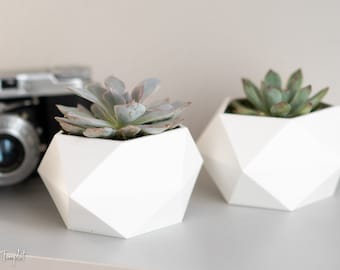 3D Printed Planter / Succulent Planter / Succulent / Unique Planter / Cute Planter /Succulents /Planter Pot/ 3D Printing / Living Room Decor