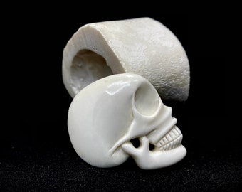 Skull Bone Carved Worry Stone Memento Mori Everyday Carry human skull collector art work skull carving bone collector skeleton skull jewelry