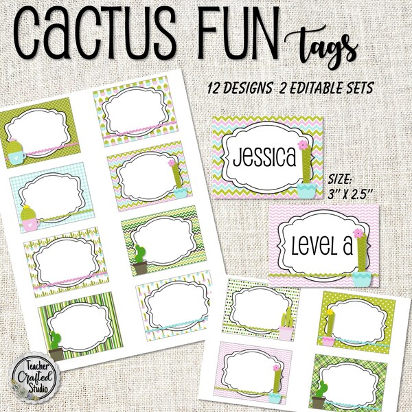 Classroom Cactus Etsy