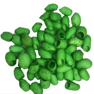 May include: A collection of green silk cocoons, also known as silkworm cocoons, used for crafting and decorative purposes.