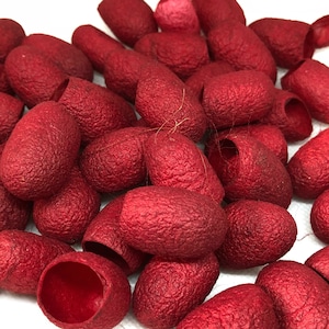 May include: A group of red silk cocoons, also known as silk moth cocoons, are arranged in a pile. The cocoons are a deep red colour and have a textured surface.