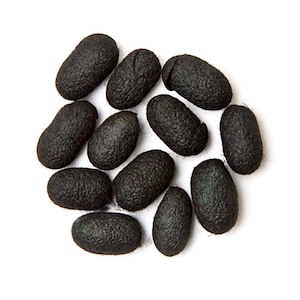 Black color - Hand Dyed Silk Cocoons, Silk Cut Cocoons, Mulberry Silk Fibres – Pack of 30 | Mawata hankies, spinning, jewelry