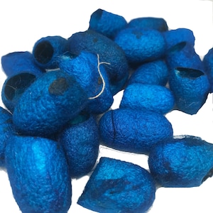 May include: A collection of blue silk cocoons, a natural material used for crafting and textile production.