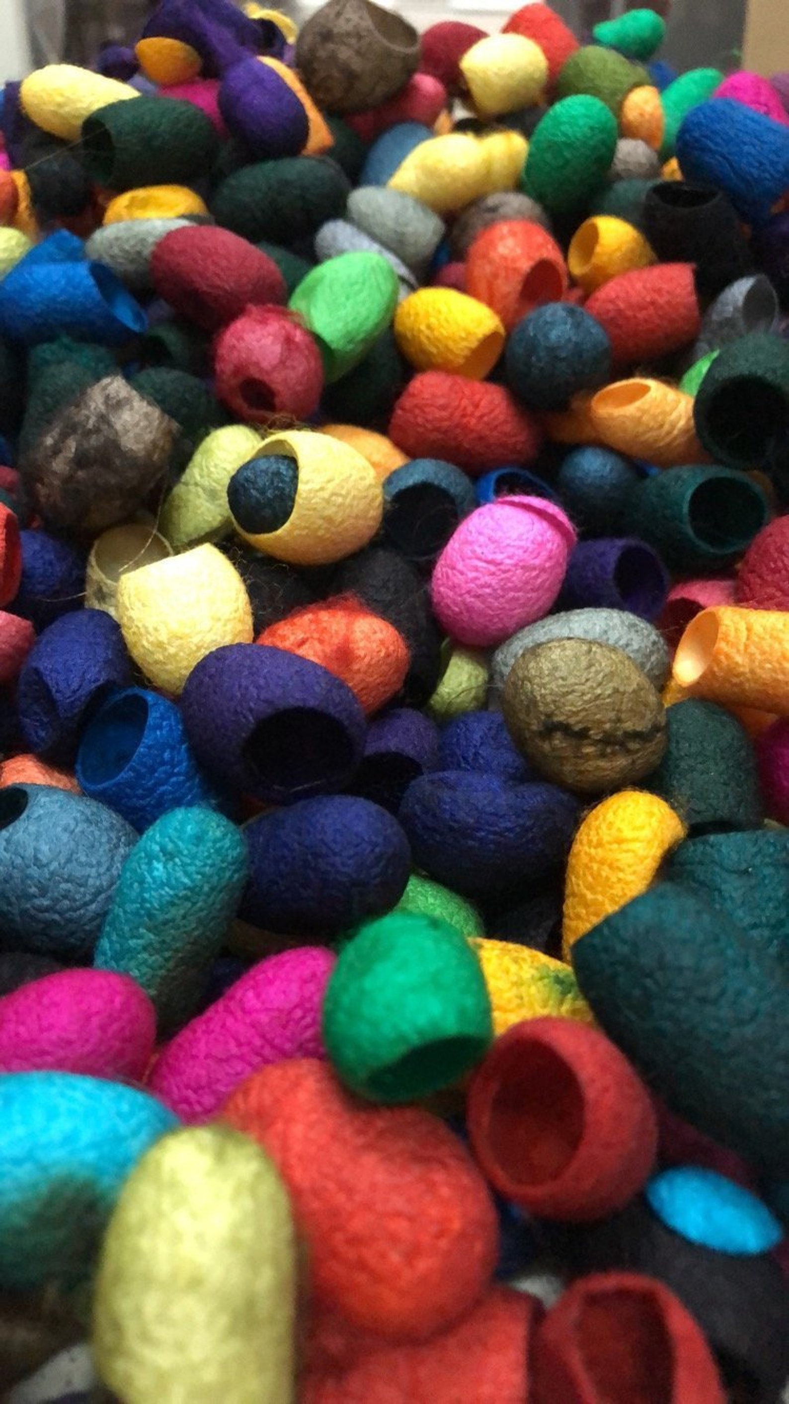 download silk cocoon download silk cocoon