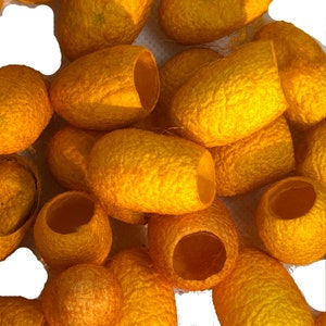 May include: A close-up of a group of yellow silk cocoons. The cocoons are smooth and have a slightly textured surface. They are arranged in a random pattern.