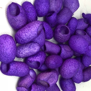 May include: A collection of purple silk cocoons, a natural material used in crafts and textiles.