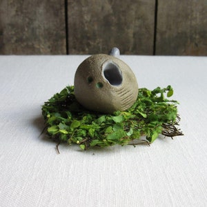 May include: A small, gray ceramic birdhouse with a hole in the front, sitting on a bed of green moss.