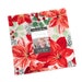 see more listings in the 10" Fabric Squares  section