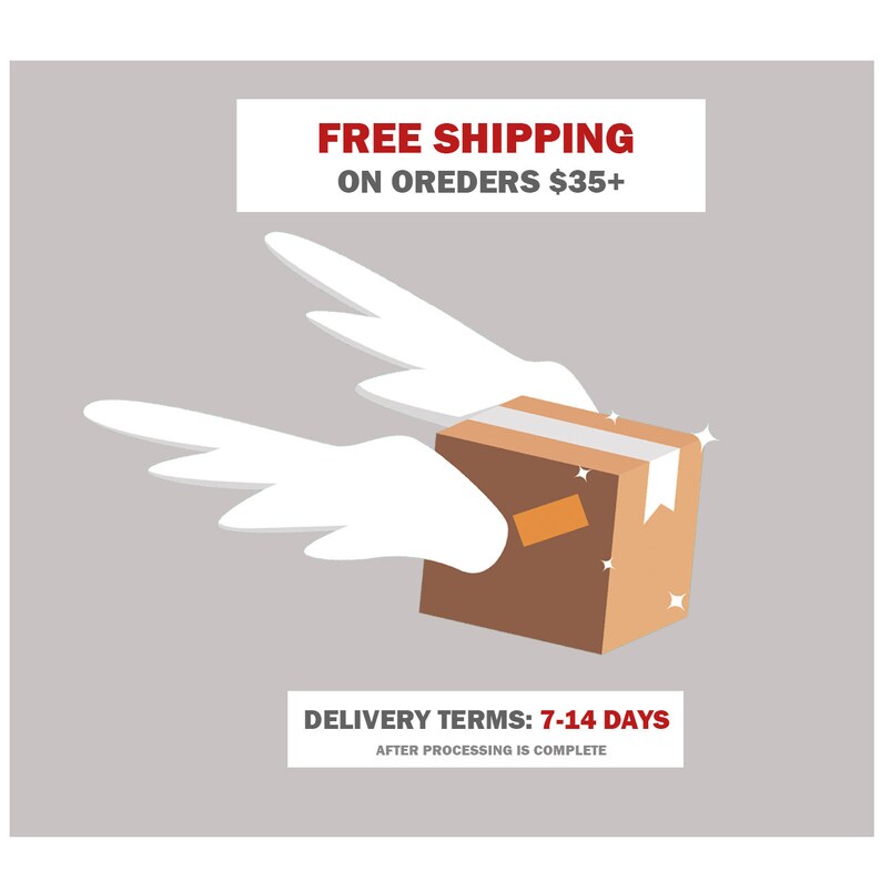 K&ouml;nnte beinhalten: Ein brauner Karton mit wei&szlig;en Fl&uuml;geln, symbolisiert schnellen Versand. Der Text "FREE SHIPPING ON ORDERS $35+" und "DELIVERY TERMS: 7-14 DAYS AFTER PROCESSING IS COMPLETE" wird unterhalb des Kartons angezeigt.