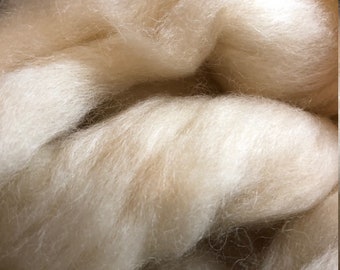 Bluefaced Leicester BFL