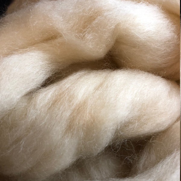 Bluefaced Leicester BFL