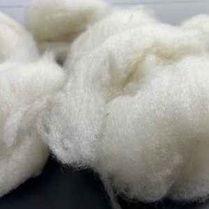 May include: Close-up of a pile of fluffy, off-white wool roving. The wool fibers are soft and cloud-like, with a slightly textured appearance. The image highlights the natural, unprocessed texture of the wool.