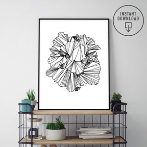 May include: Black and white line art print of a geometric flower design. The print is framed and hanging on a white wall above a black metal shelf with wooden shelves. The shelf is decorated with plants, books, and a bowl.