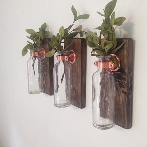 May include: Three clear glass bottles with green leafy stems are mounted on a dark brown wooden wall shelf. Each bottle is secured with a copper ring.