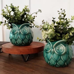 May include: Two teal ceramic owl planters with green leafy plants. The planters are on wooden stands with black metal legs.