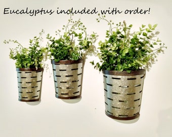 Wall decor, Wall Sconce, Olive Bucket decor, Rustic wall decor, Farmhouse wall decor, Wall sconce with greenery, Eucalyptus, with plants