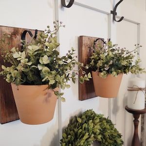 May include: Two terracotta pots with green plants hanging on a wooden wall shelf with black metal hooks. The pots are hanging on a white wall.