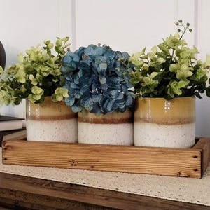 May include: Three white and brown ceramic planters with a rustic wooden tray. The planters are filled with green and blue artificial plants.