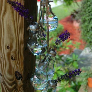 Hanging Rooter Vase, Kitchen Vase, Plant Cuttings Vase, Propagation ...