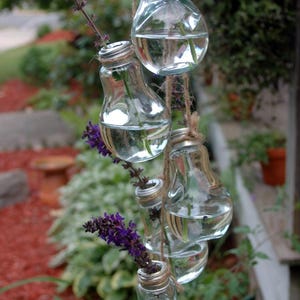 Hanging Rooter Vase, Kitchen Vase, Plant Cuttings Vase, Propagation ...