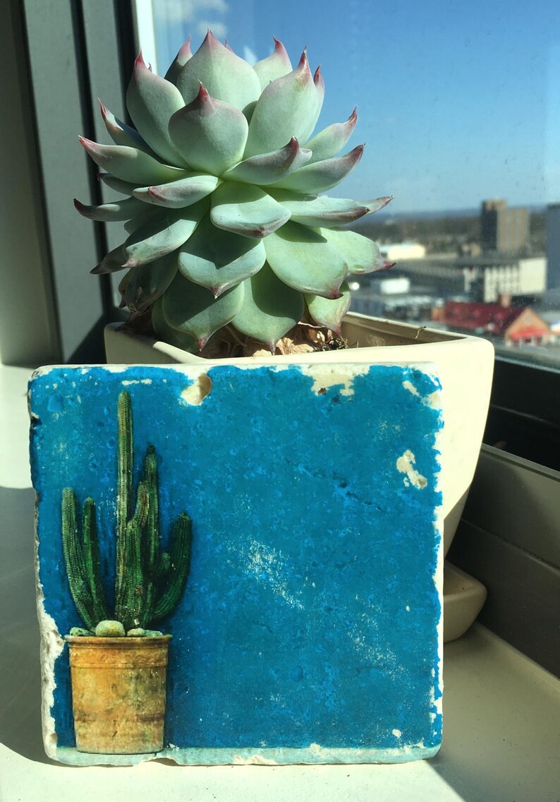Cactus Coaster Desert tiles stone coasters set of 4 | Etsy